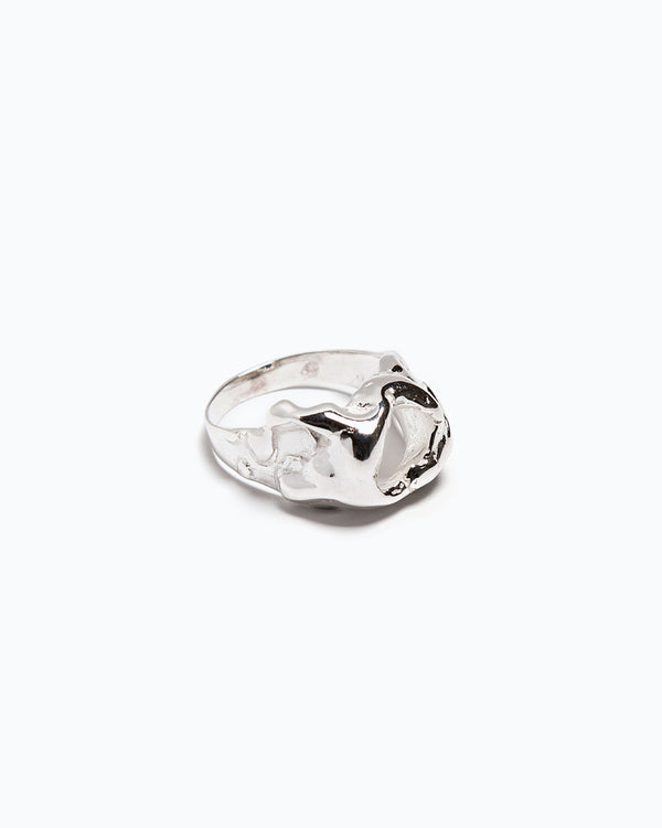 BeO ring (SS)